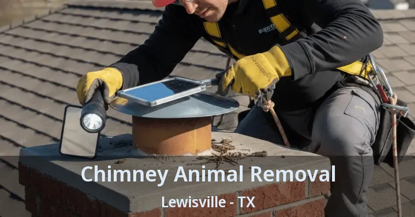 Chimney Animal Removal Lewisville - TX