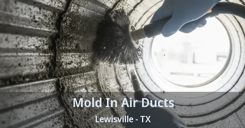 Mold In Air Ducts Lewisville - TX