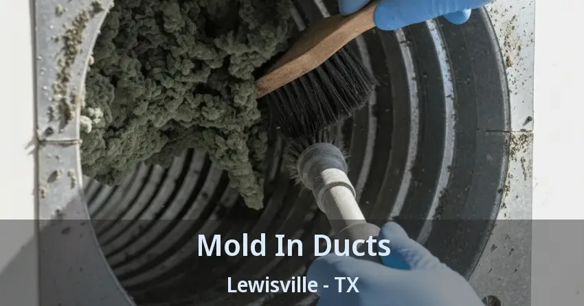 Mold In Ducts Lewisville - TX