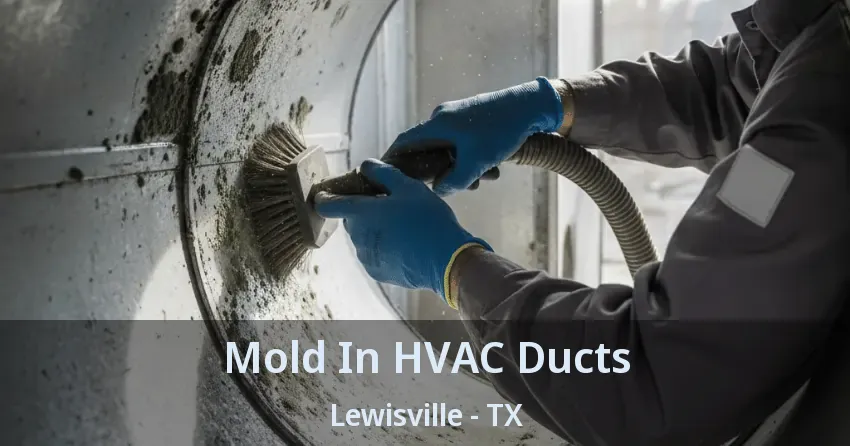 Mold In HVAC Ducts Lewisville - TX